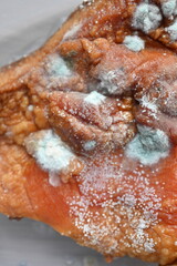 mold on meat, spoiled meat close-up as background, mold fungi on food, on compchen meat, spoiled food 