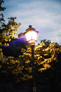 lantern in autumn