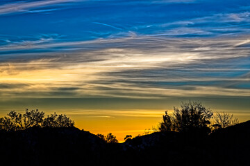 Intense yellow sunset with silhouetted trees and blue sky with clouds on the Bo-Piketberg mountain plateau in the Western Cape, South Africa