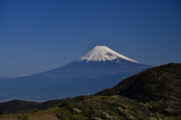 Snow-covered Mount Fuji, Japan / 雪を被る富士山　日本