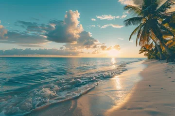 Sunset over ocean on tropical beach with palm trees