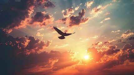 The silhouette of a bird high in the sky