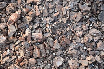 texture of bark pieces as ground cover, bark pieces covering the surface, brown bark close-up 