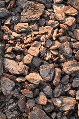 texture of bark pieces as ground cover, bark pieces covering the surface, brown bark close-up 