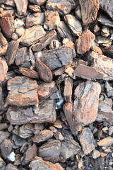 texture of bark pieces as ground cover, bark pieces covering the surface, brown bark close-up 