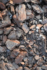 texture of bark pieces as ground cover, bark pieces covering the surface, brown bark close-up 