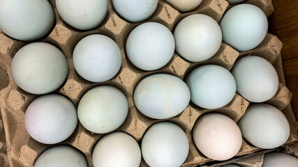 A tray of pastel-colored duck eggs symbolizes traditional Asian cuisine and sustainable farming practices during the Lunar New Year