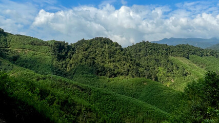 Obraz premium Lush green hills under a blue sky in Nagaland, India, symbolize serenity and nature's beauty, related to ecotourism and conservation