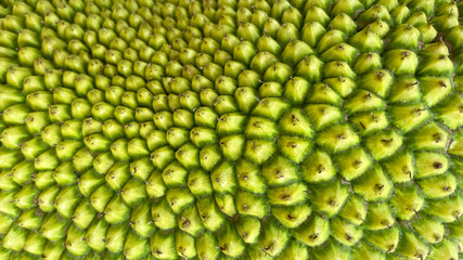 Close-up of vibrant green jackfruit skin texture, highlighting tropical fruit patterns, ideal for illustrating exotic produce concepts