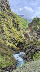 A serene mountain river flows through a lush green gorge, capturing the essence of nature conservation and Earth Day celebration