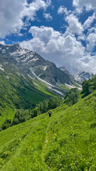 Obraz premium A solitary hiker treks across a verdant alpine meadow with snow-capped mountains under a vivid blue sky, embodying adventure and exploration