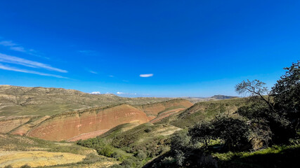 A breathtaking view of a vast canyon under a clear blue sky, ideal for concepts of nature and exploration