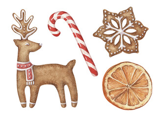 Reindeer and snowflake gingerbread set of Christmas cookies. Hand drawn watercolor winter illustration of candy cane and orange. Isolated drawing for Xmas graphic and tradition card designs.