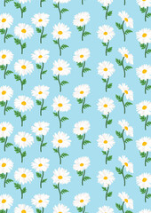 Daisy flower background.Eps 10 vector.