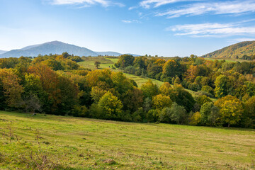 mountainous countryside landscape of ukraine in autumn. outdoor adventure on a sunny day. rural fields on forested hills. nice scenery of carpathian mountains in fall season