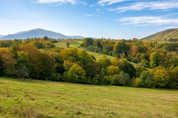 mountainous countryside landscape of ukraine in autumn. outdoor adventure on a sunny day. rural fields on forested hills. nice scenery of carpathian mountains in fall season