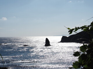 海の中の岩