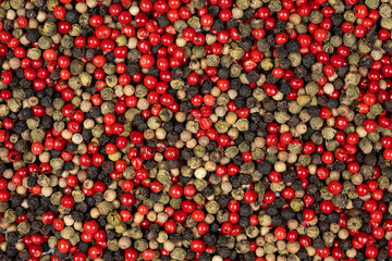 Background of a mix of colorful peppercorns top view