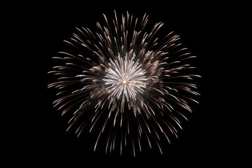 Obraz premium Firework fireworks celebration night.