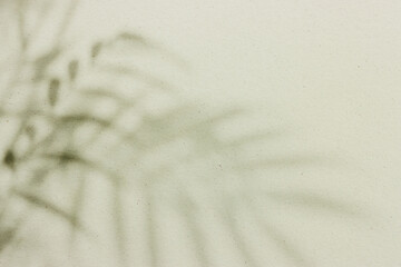 Background of texture and shadow abstract. Pastel green colors.