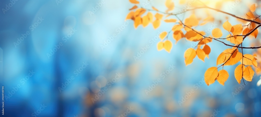 Wall mural Autumn background leaf sky landscape.