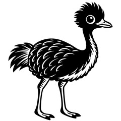 illustration of an emu