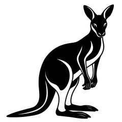 kangaroo vector illustration