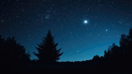 Fototapeta premium Night sky filled with stars and bright planet above silhouette of trees