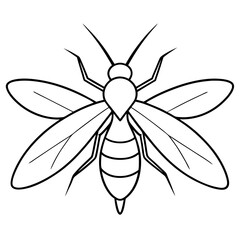 illustration of Firefly