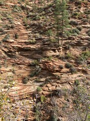 Rocky mountains in sunny day