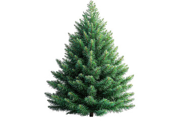 Green Fraser Fir Christmas tree isolated on transparent background, png file, no background png file