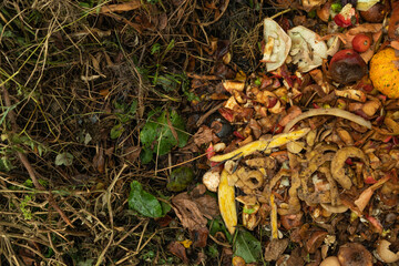 Compost pile made of organic food, leaves, vegetable and fruit waste mix