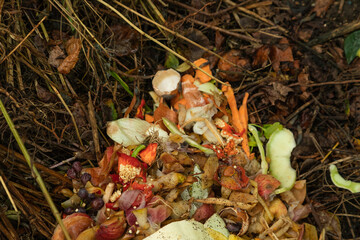 Compost pile made of organic food, leaves, vegetable and fruit waste mix