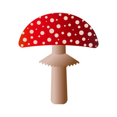 Spotted red fly agaric mushroom isolated on white background. 