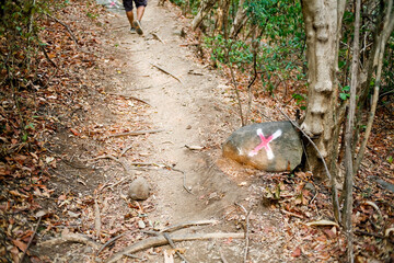 stone with cross mark showing wrong way on the trail