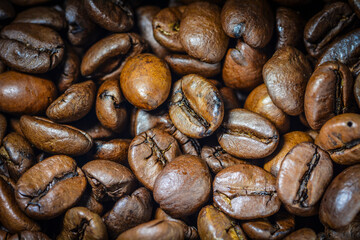 Simple close-up of coffee beans without people.
