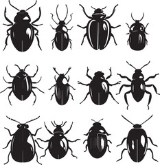 A set of beetles. Hand drawn vector illustration