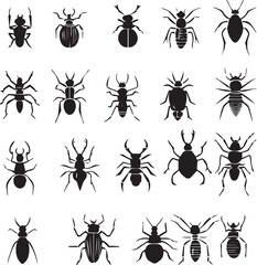 A set of beetles. Hand drawn vector illustration