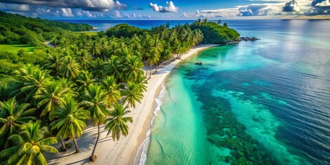 Aerial Photography of Tropical Beach Art Print with Lush Nature Elements for Home Decor