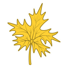 Maple leaf. Yellow part of the tree with veins. Color vector illustration. Isolated background. The shape of the leaf is crown-shaped. Idea for web design.