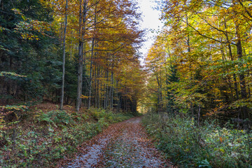 Nature and viewpoints of the mountain Bobija in Western Serbia, near the town of Valjevo. A nature reserve with hiking trails, landscape and a natural background.