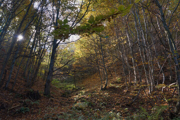 Nature and viewpoints of the mountain Bobija in Western Serbia, near the town of Valjevo. A nature reserve with hiking trails, landscape and a natural background.