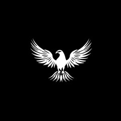 Fototapeta premium White silhouette of an eagle with wings spread wide against a black background.