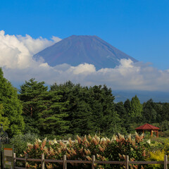 Japan&rsquo;s Mt. Fuji in summer season