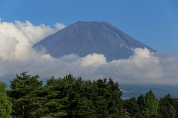 Japan&rsquo;s Mt. Fuji in summer season
