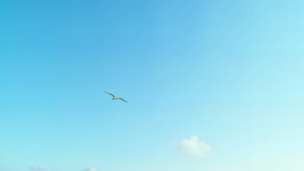 Fototapeta premium The Graceful Flight of a Seagull Across a Bright Blue Sky