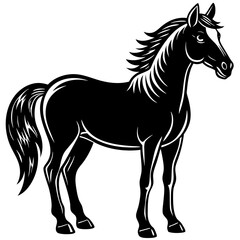horse illustration