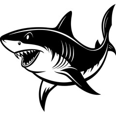 shark illustration