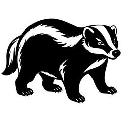 illustration of a bear