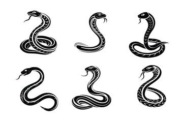 Obraz premium Anaconda Collection Iconic Logos, Silhouettes, and Vector Designs